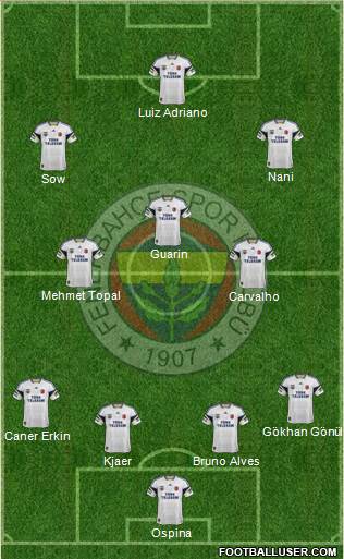Fenerbahçe SK Formation 2015