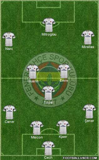 Fenerbahçe SK Formation 2015
