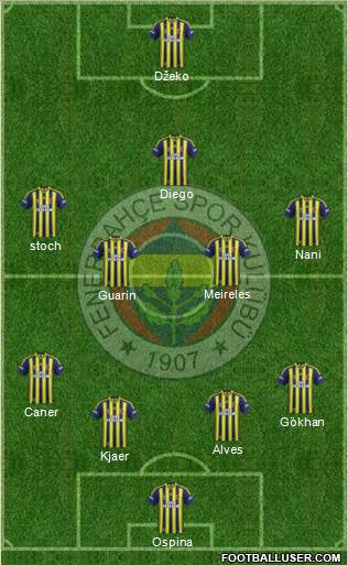 Fenerbahçe SK Formation 2015