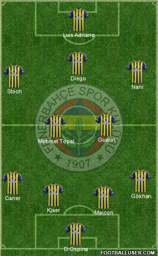 Fenerbahçe SK Formation 2015
