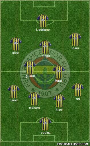 Fenerbahçe SK Formation 2015