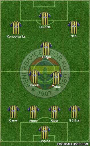 Fenerbahçe SK Formation 2015