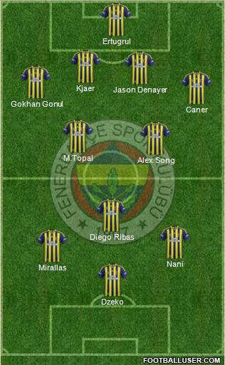 Fenerbahçe SK Formation 2015