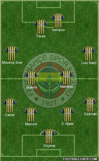 Fenerbahçe SK Formation 2015