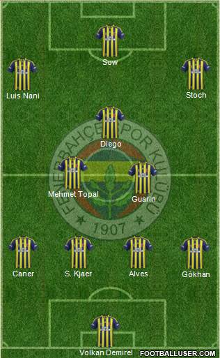 Fenerbahçe SK Formation 2015
