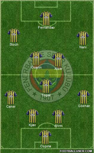 Fenerbahçe SK Formation 2015