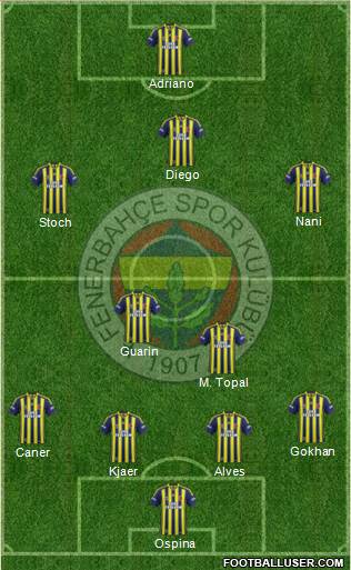Fenerbahçe SK Formation 2015