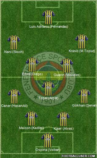 Fenerbahçe SK Formation 2015