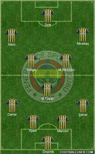 Fenerbahçe SK Formation 2015