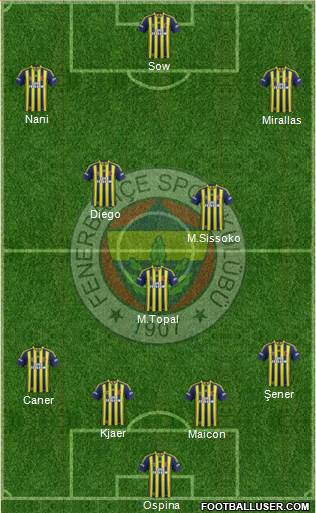 Fenerbahçe SK Formation 2015