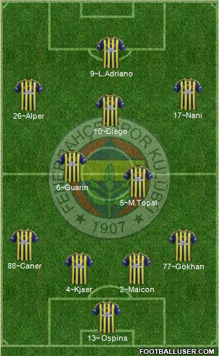 Fenerbahçe SK Formation 2015