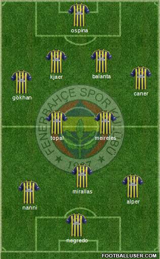 Fenerbahçe SK Formation 2015