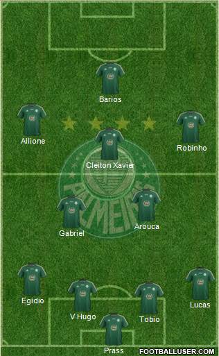 SE Palmeiras Formation 2015