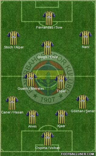 Fenerbahçe SK Formation 2015