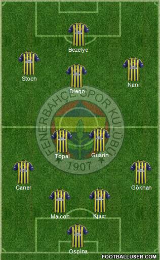 Fenerbahçe SK Formation 2015