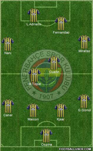 Fenerbahçe SK Formation 2015