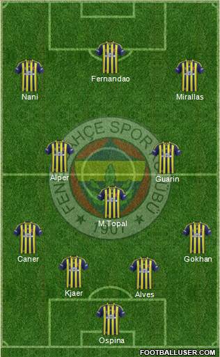 Fenerbahçe SK Formation 2015