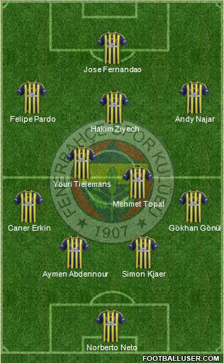 Fenerbahçe SK Formation 2015