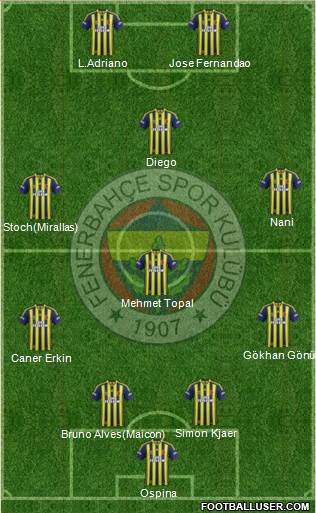 Fenerbahçe SK Formation 2015