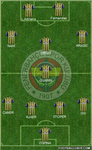 Fenerbahçe SK Formation 2015