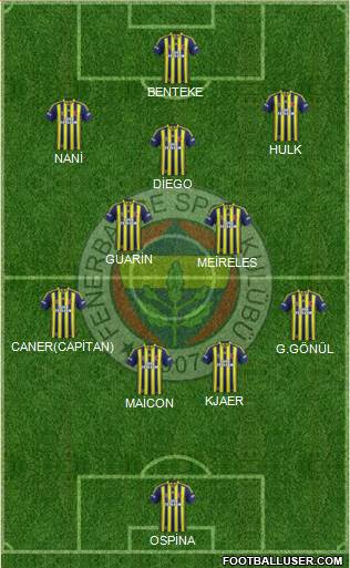 Fenerbahçe SK Formation 2015