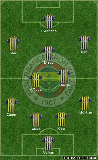 Fenerbahçe SK Formation 2015