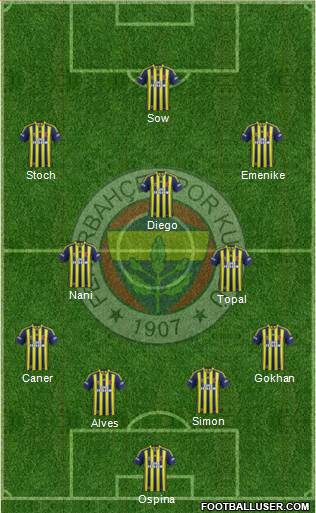 Fenerbahçe SK Formation 2015