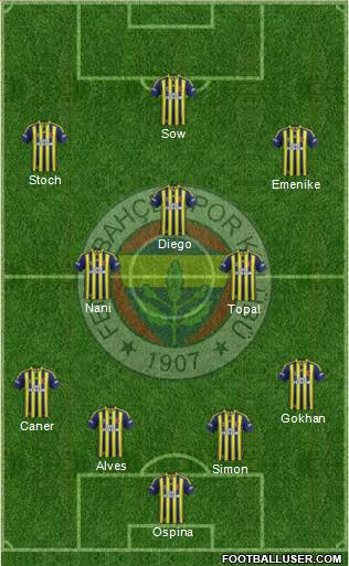 Fenerbahçe SK Formation 2015