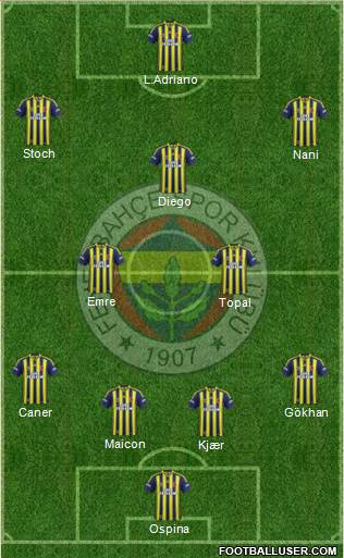 Fenerbahçe SK Formation 2015