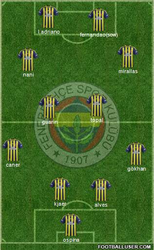 Fenerbahçe SK Formation 2015