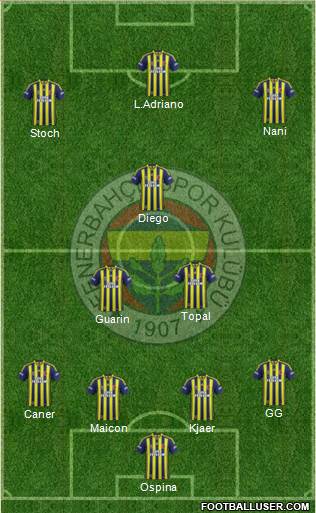 Fenerbahçe SK Formation 2015