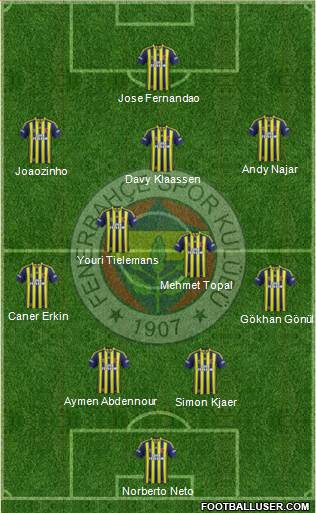 Fenerbahçe SK Formation 2015