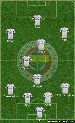Fenerbahçe SK Formation 2015
