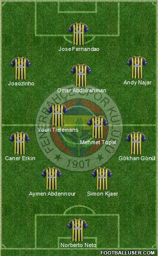Fenerbahçe SK Formation 2015