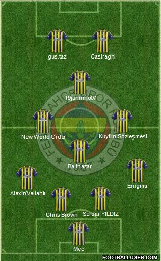 Fenerbahçe SK Formation 2015