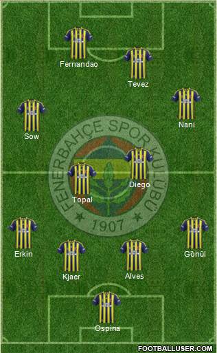 Fenerbahçe SK Formation 2015