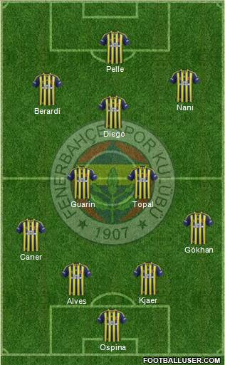 Fenerbahçe SK Formation 2015