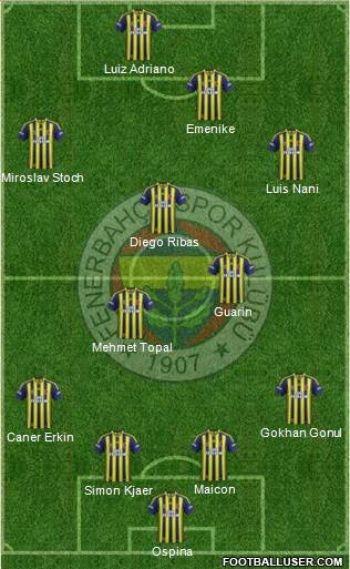 Fenerbahçe SK Formation 2015