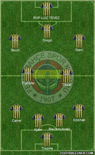 Fenerbahçe SK Formation 2015