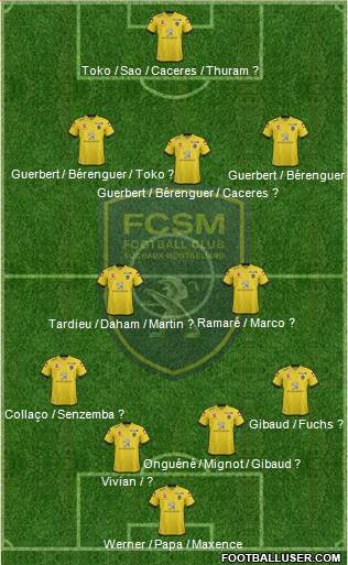 FC Sochaux-Montbéliard Formation 2015
