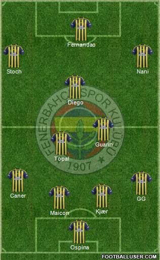 Fenerbahçe SK Formation 2015