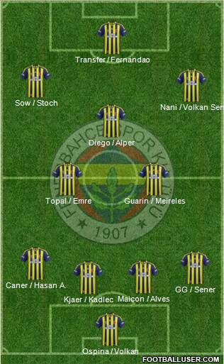 Fenerbahçe SK Formation 2015