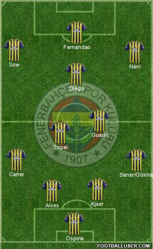 Fenerbahçe SK Formation 2015