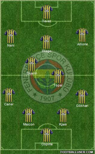 Fenerbahçe SK Formation 2015