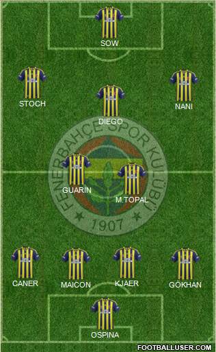 Fenerbahçe SK Formation 2015