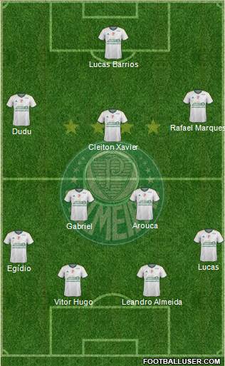 SE Palmeiras Formation 2015