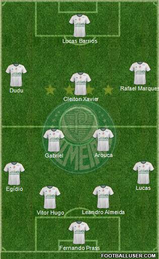 SE Palmeiras Formation 2015