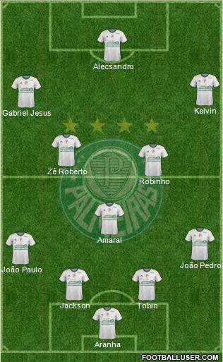SE Palmeiras Formation 2015