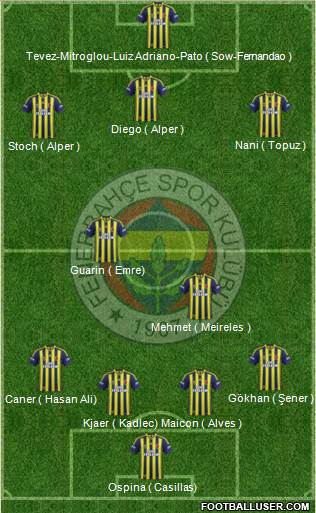 Fenerbahçe SK Formation 2015