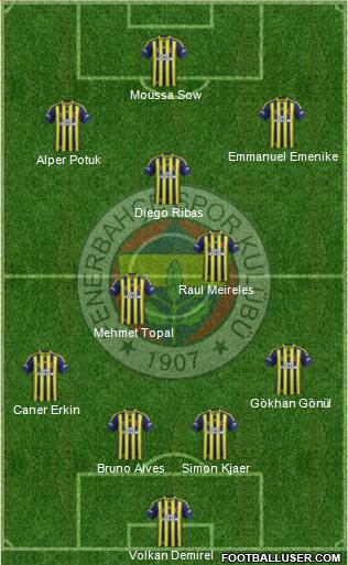Fenerbahçe SK Formation 2015